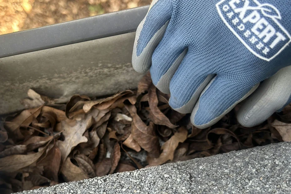 Glen Rock Gutter Cleaning